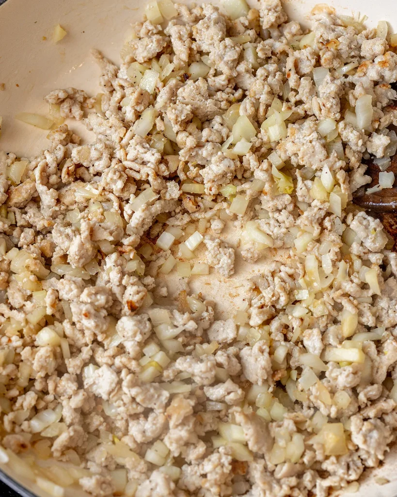 Brown chicken with fennel and onion