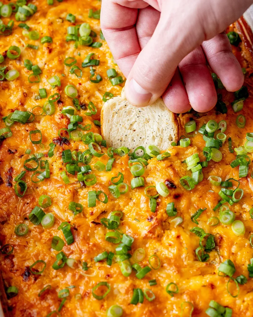 Turkey dip recipes